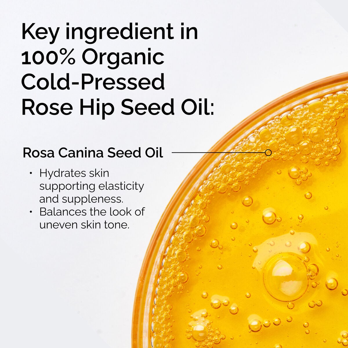 100-organic-cold-pressed-rose-hip-seed-oil-l2 FY25-D41247-ORD-Web-PDP-100-Rose-Hip-Oil-1x1-EN-2.jpg