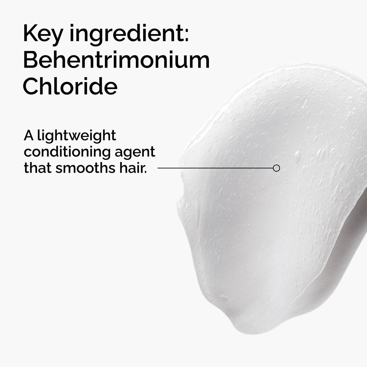 behentrimonium-chloride-2-conditioner-q5 FY25-D41247-ORD-Web-PDP-BTC-1x1-EN-2a.jpg