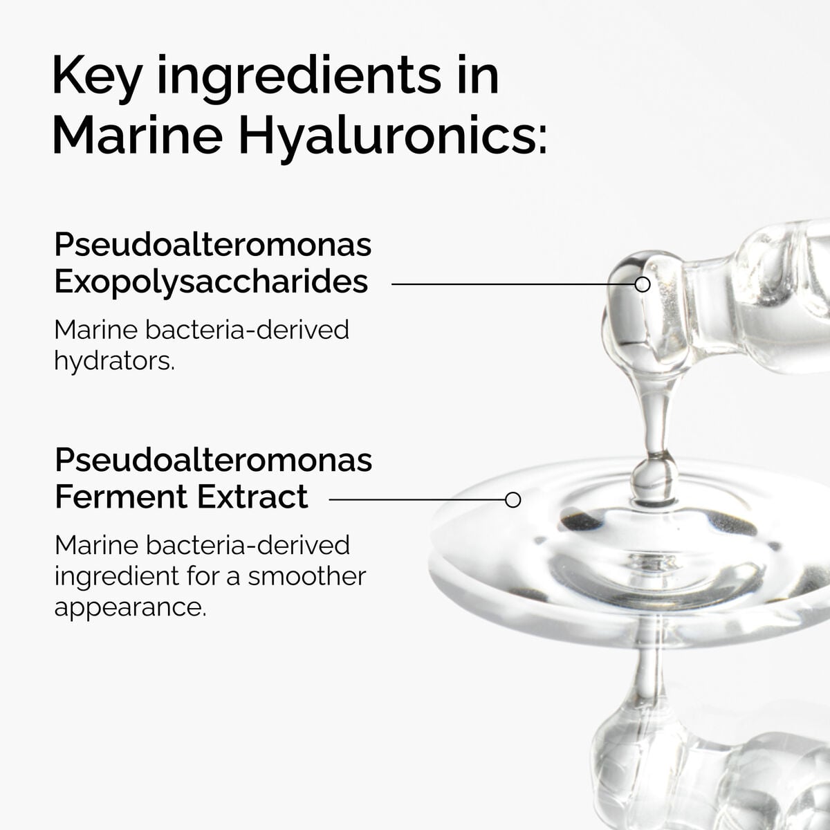 marine-hyaluronics-p1 FY25-D41247-ORD-Web-PDP-Marine-Hya-1x1-EN-2a.jpg