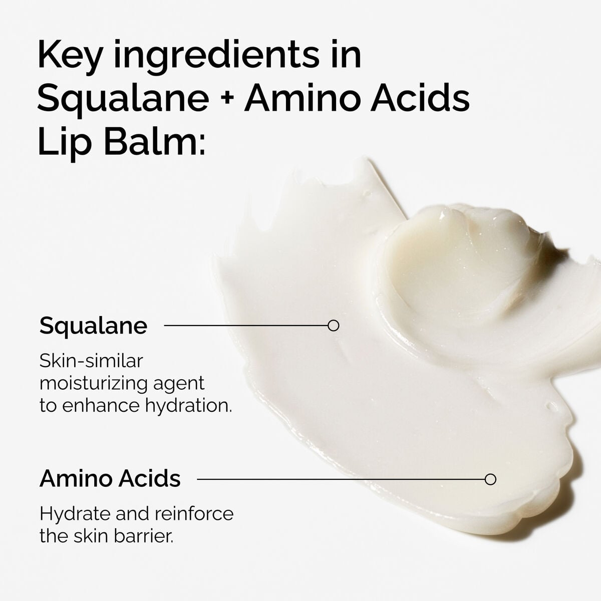 squalane-amino-acids-lip-balm-t8 FY25-D41247-ORD-Web-PDP-Sql-Amino-Lip-1x1-EN-2a.jpg