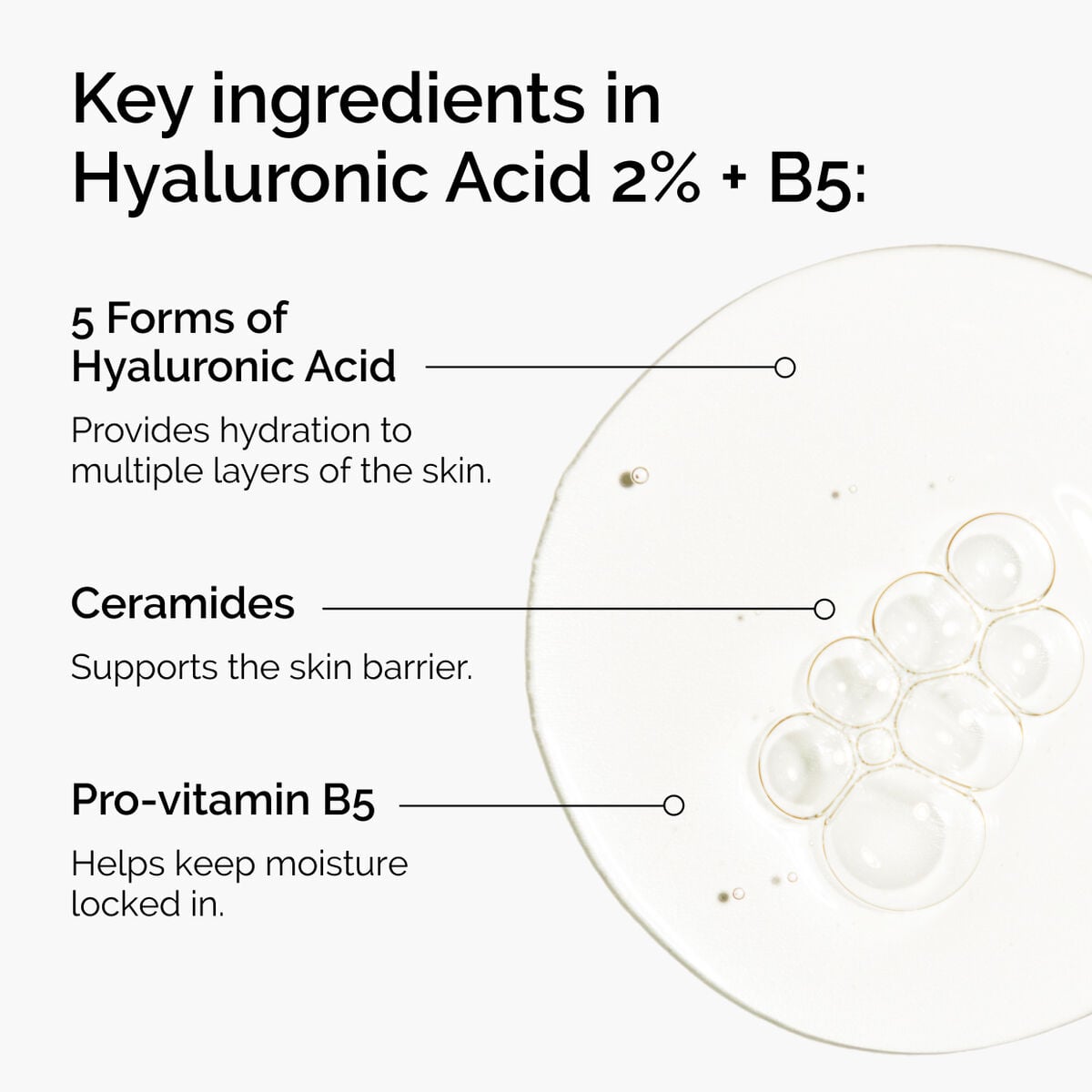 hyaluronic-acid-2-b5-with-ceramides-q6 ord-hyaluronic-acid-2pct-b5-hydrating-serum-ingredients-graphic.jpg