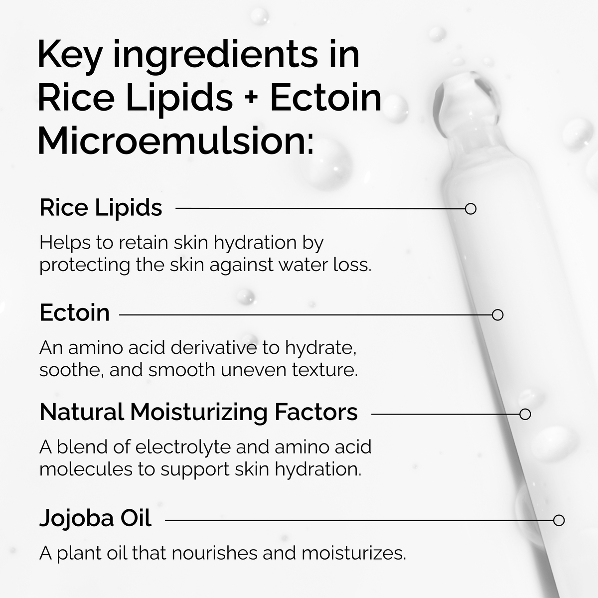 rice-lipids-ectoin-microemulsion-v5 ord-rice-lipids-ectoin-microemulsion-key-ingredients.png