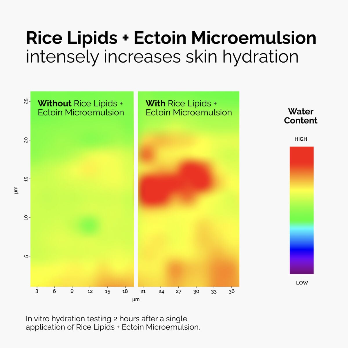 rice-lipids-ectoin-microemulsion-v5 ord-rice-lipids-ectoin-microemulsion-thermal-before-after.jpg